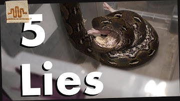 The 5 LIES of Feeding Super Dwarf Retics