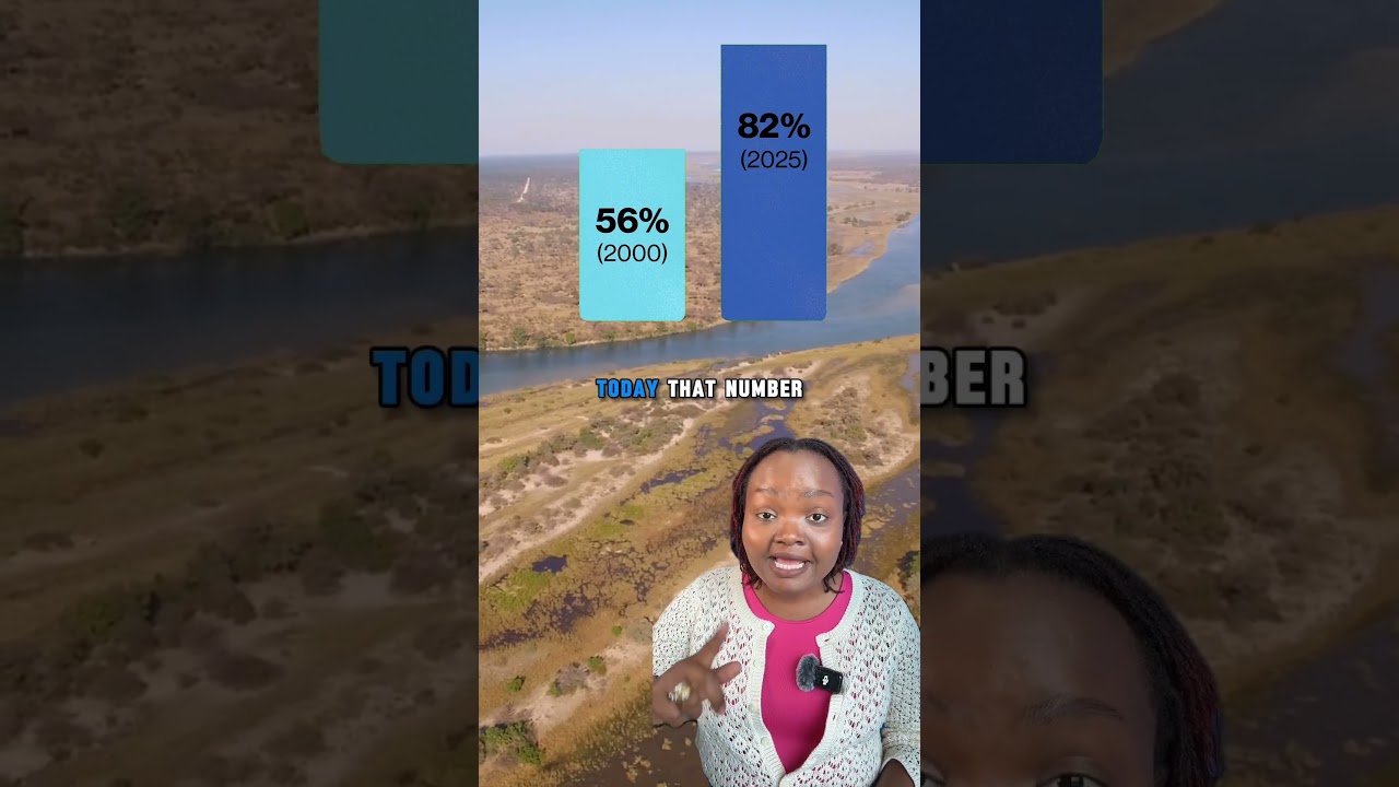 The current state of global immunisation?