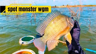 Download Lagu SPOT ISINYA MONSTER SEMUA❗ KAIL KU DIBIKIN METAR DISINI MP3 Download Lagu SPOT ISINYA MONSTER SEMUA❗ KAIL KU DIBIKIN METAR DISINI MP3