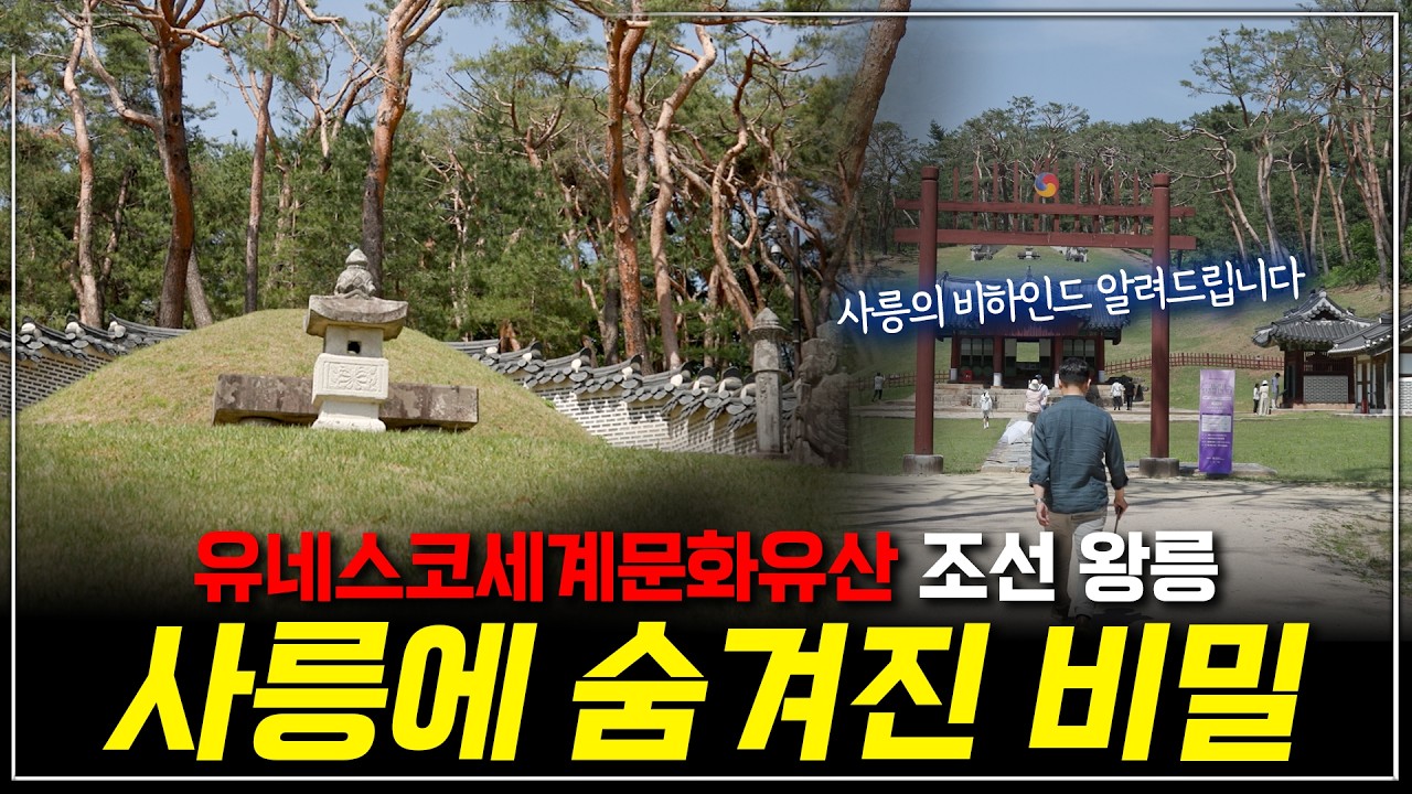 [사릉에 가다 ep.2] 정순왕후의 무덤 사릉, 사릉만이 가지고 있는 비밀은 무엇이 있을까?