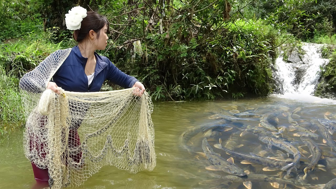 Fishing Alone on the River | Traditional Fishing with Bamboo and Fishing Net | Catch a Lots of Fish