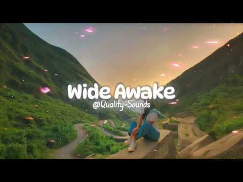 Katy Perry Wide Awake Speed Up Reverb 