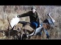 Alaska Archery Moose hunt turns to survival at 20 degrees below 0