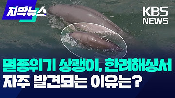 등에는 
