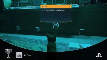 Stray I forgot to save the video