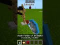 Minecraft Build Hack #cutecat #cat