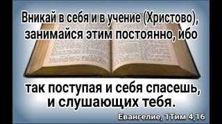 Вникай в себя и в учение что в этом спасающего