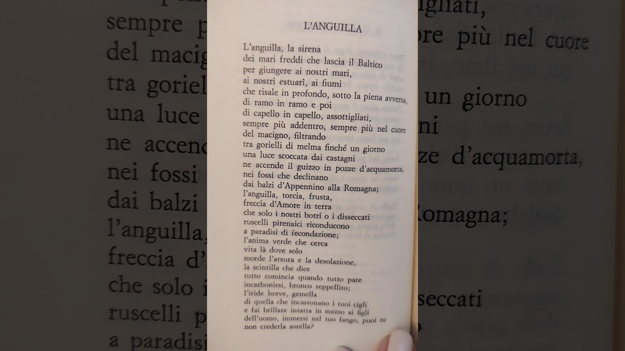 Una poesia per stare meglio 8 Montale, L'anguilla