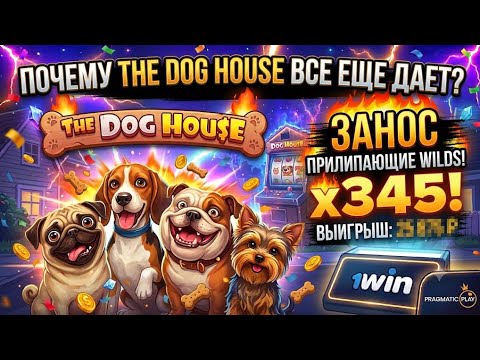 najlepszy Pinco Casino bonus vip promocja w Poland