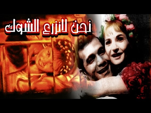 نحن لا نزرع الشوك