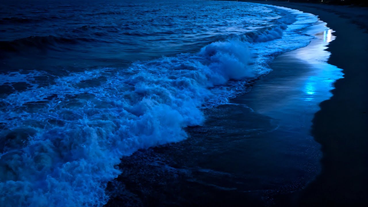 Deep Sleep Ocean Sounds, Dark Screen Natural Sleep Aid