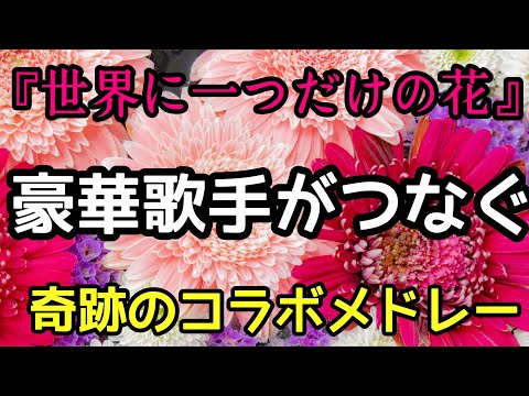 世界に一つだけの花豪華歌手のコラボメドレー♪SMAP