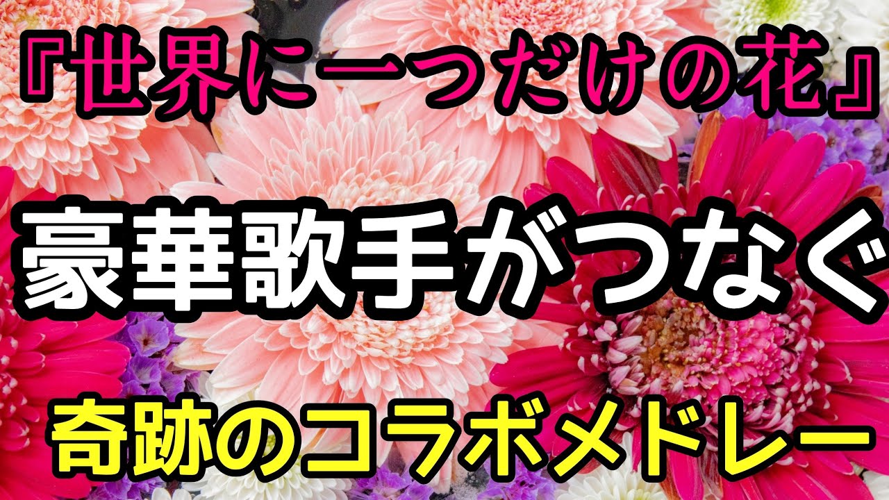 世界に一つだけの花豪華歌手のコラボメドレー♪SMAP
