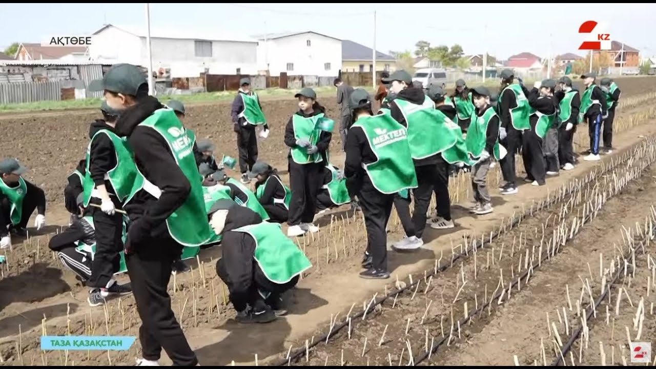 Ақтөбе экологиясы. Қала жастары тазалық акцияларына қаншалықты белсенді қатысады? | Таза Қазақстан