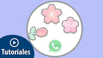 Qual o significado de uma rosa no whatsapp?