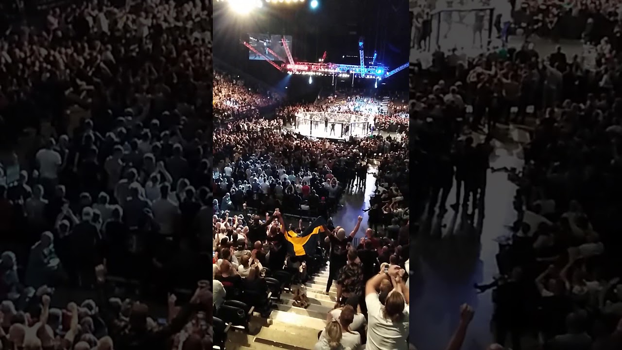 UFC COPENHAGEN (video9)