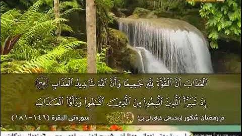 الشیخ رمضان شكور سورة البقرة