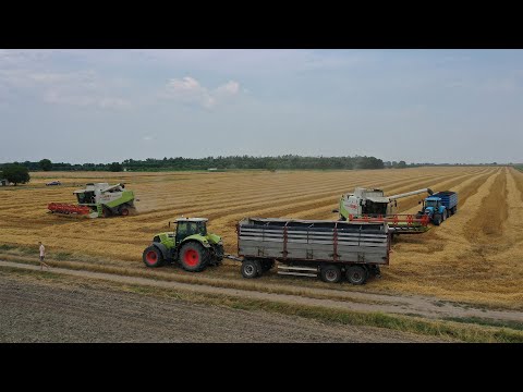 Petron Kft. -