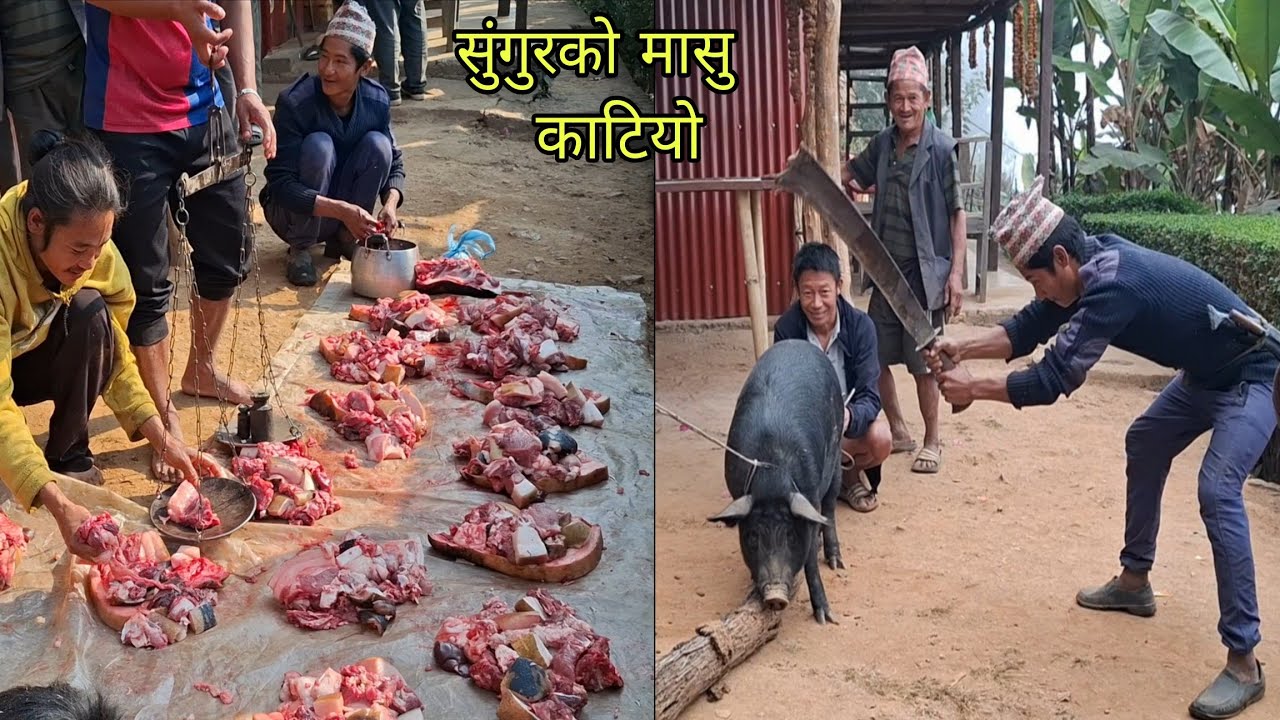 Pig Meat Cutting In Nepali Village Style || सुंगुरको मासु || Pork Cutting Skills 