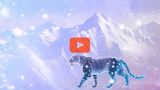 White Jaguars - The Childrens Project