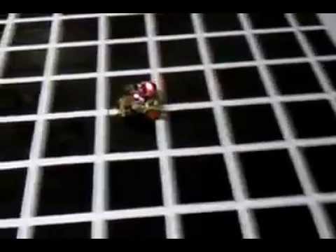 Mine Detector and Mine Avoider Robot