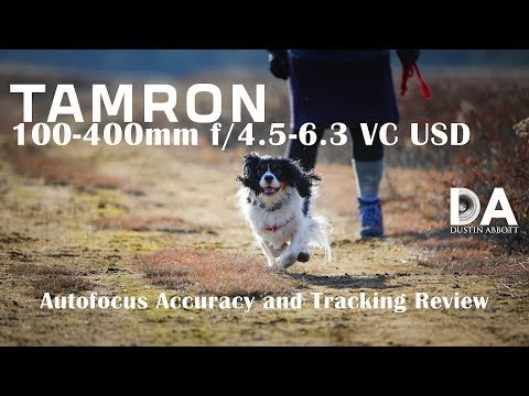 Tamron 100-400mm VC | Autofocus and Tracking Review | 4K