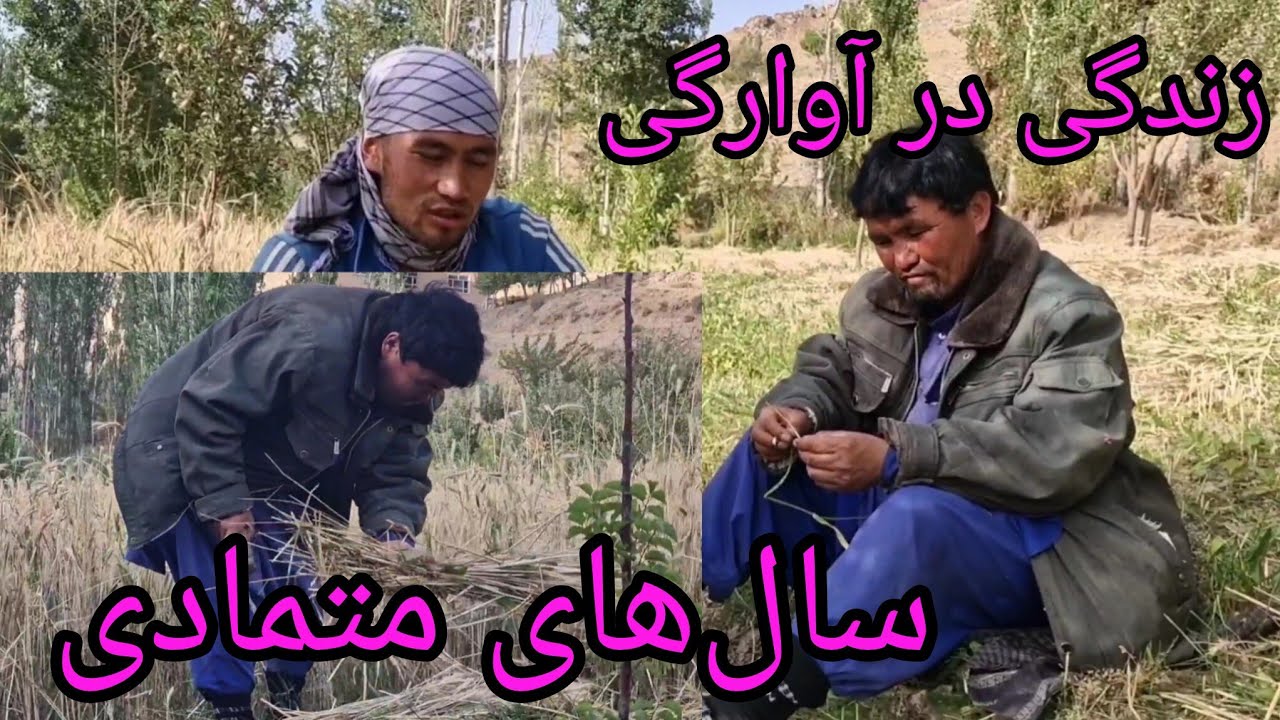 درد دل از غلام علی در فصل گندم دور