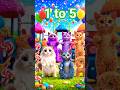 1 to 5 Counting with Cats 🐱| Numbers for Kids #shorts #counting #viral #12345
