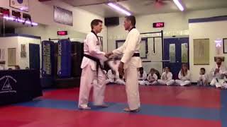 7th Dan blackbelt testing