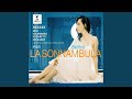 Miniature de la vidéo de la chanson La Sonnambula: Atto I, Scena 2. “Oh Ciel! Che Tento?” (Rodolfo, Amina)