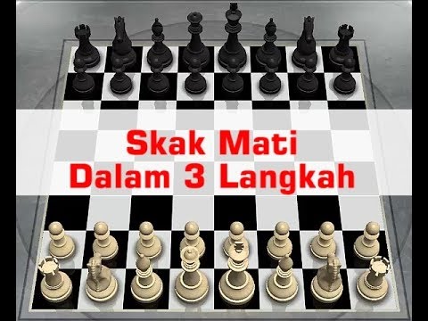  Cara  Cepat Bermain  Catur  Langsung Skak Mat dengan 3 