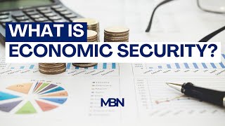 What is Economic Security?