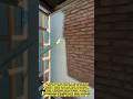 Fast Brick Wall Painting Hack! #painting #diy #construction