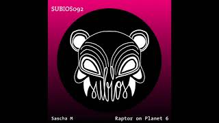 Sascha M - Falling (Original Mix)