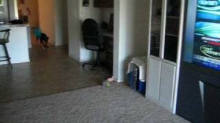 MVI_0939.AVI