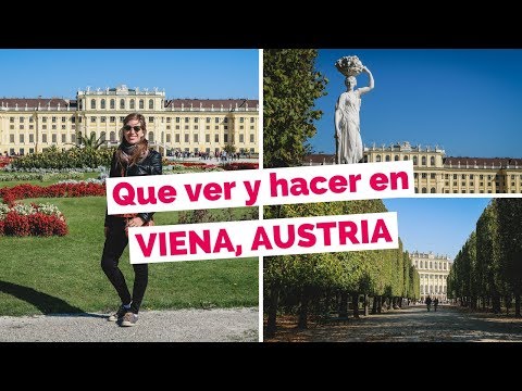 Video: Cosas que hacer en Viena, Austria