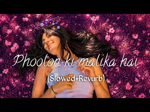 Phoolon ki malika hai 👀💗 (Slowed+Revurb) #love #aesthetic #songlyrics #trending