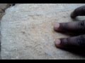 Porn in forest village video