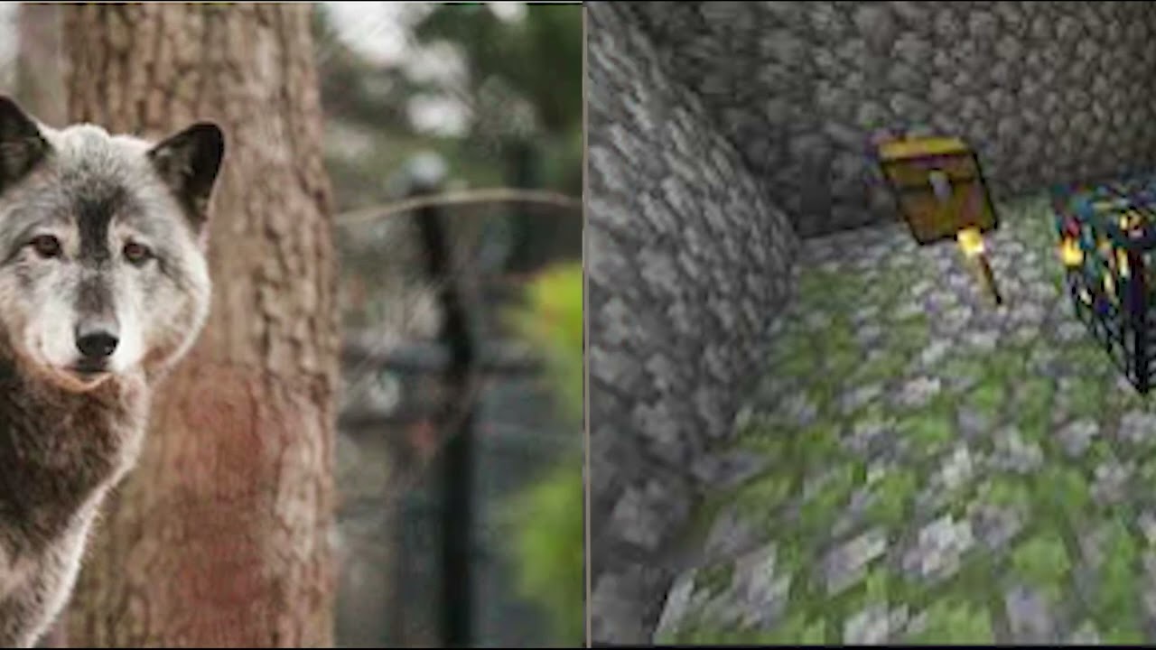 splitscreentest