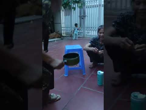 Video ăn cháo cùng nem nem 1; Cửa chống cháy Galaxy hotline:... - youtube