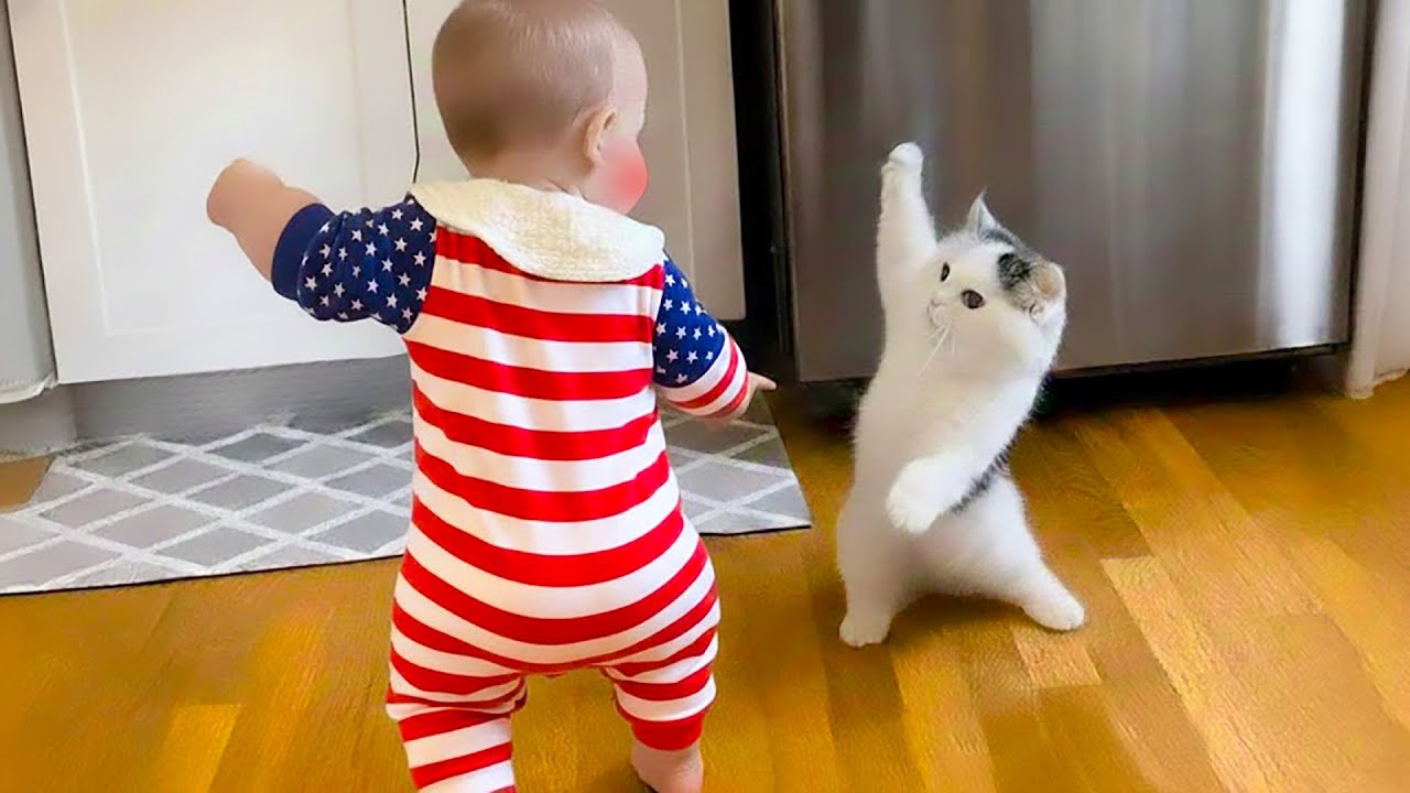 Cutest Baby & Cat Duo! 😍😂 Try Not To Laugh at Their Friendship | Little Boss