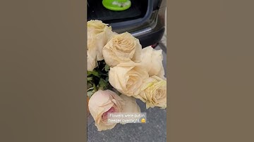What happens if you put the bridal bouquet in the freezer overnight? #freezeflowers #bridal
