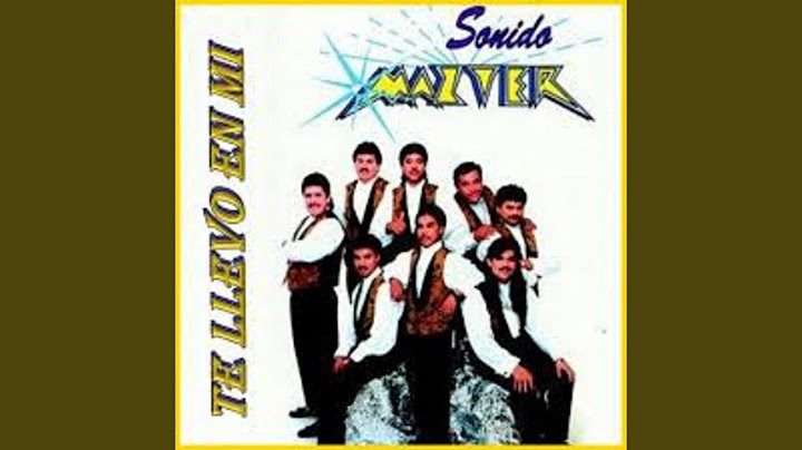 Te Llevo en Mi