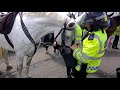 Met Police Mounted Section