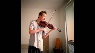 Lord of the rings (Lindsey Stirling) (cover) #lordoftherings #violin #soundtrack