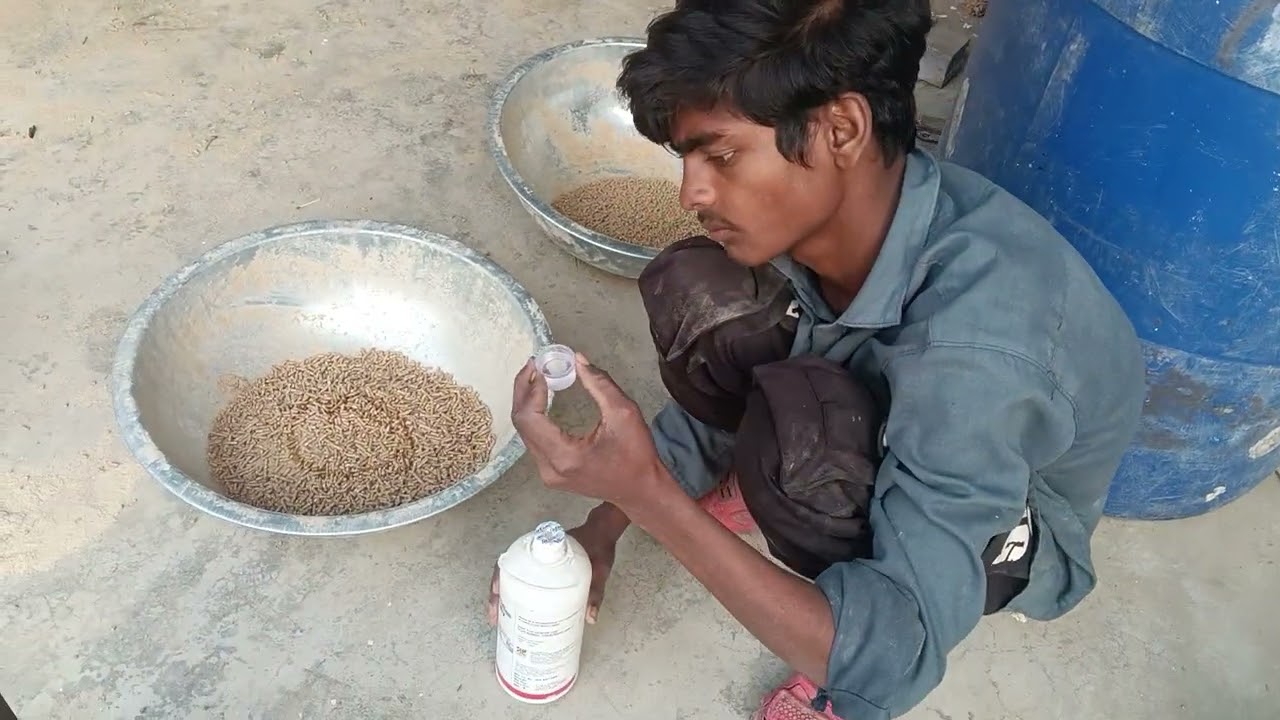 10 जनवरी 2026