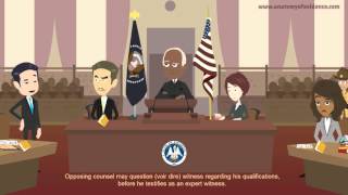 How to Qualify an Expert Witness