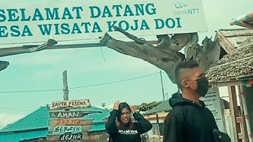Pesona Kojadoi