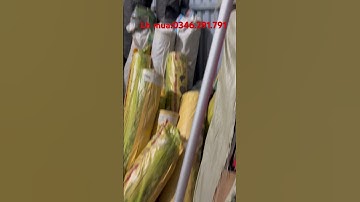 Kéo cắt cành hái hoa quả trên cao #shopthuyhien #0346291791 #keocatcanhtrencao