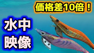 【ダイソーエギング】100円エギと1000円エギの水中アクションを見比べてみた。【エギ王K】